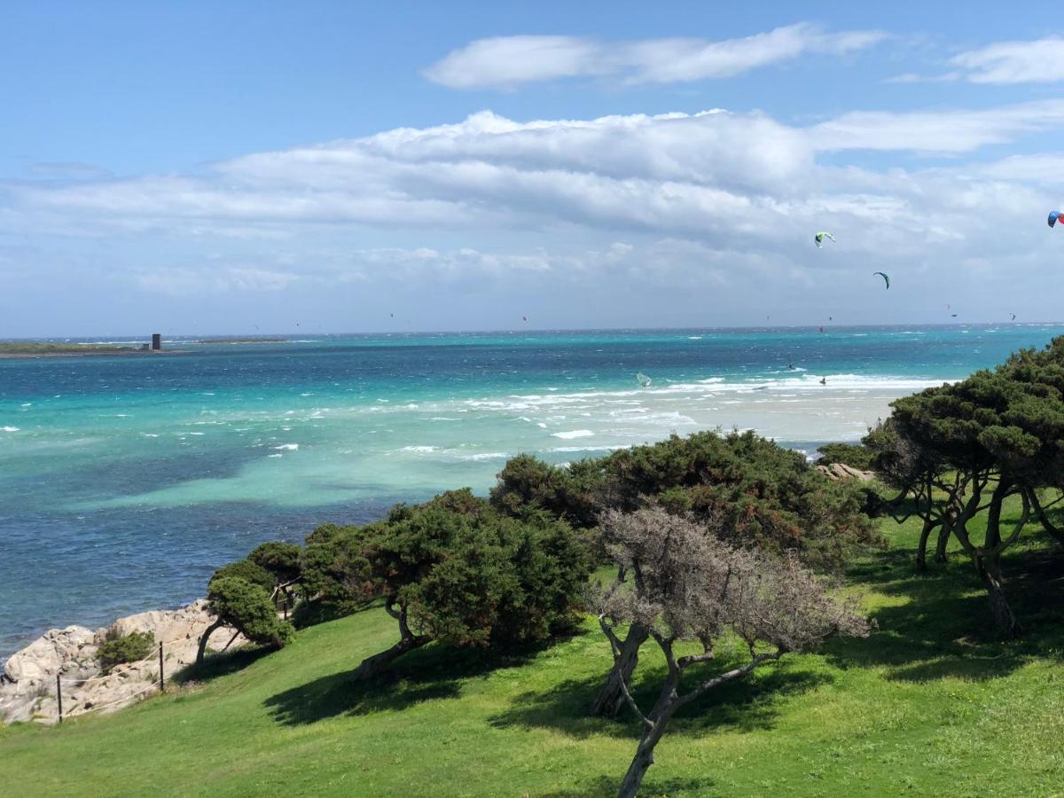 B&B Mare Di Fuori Stintino Bagian luar foto
