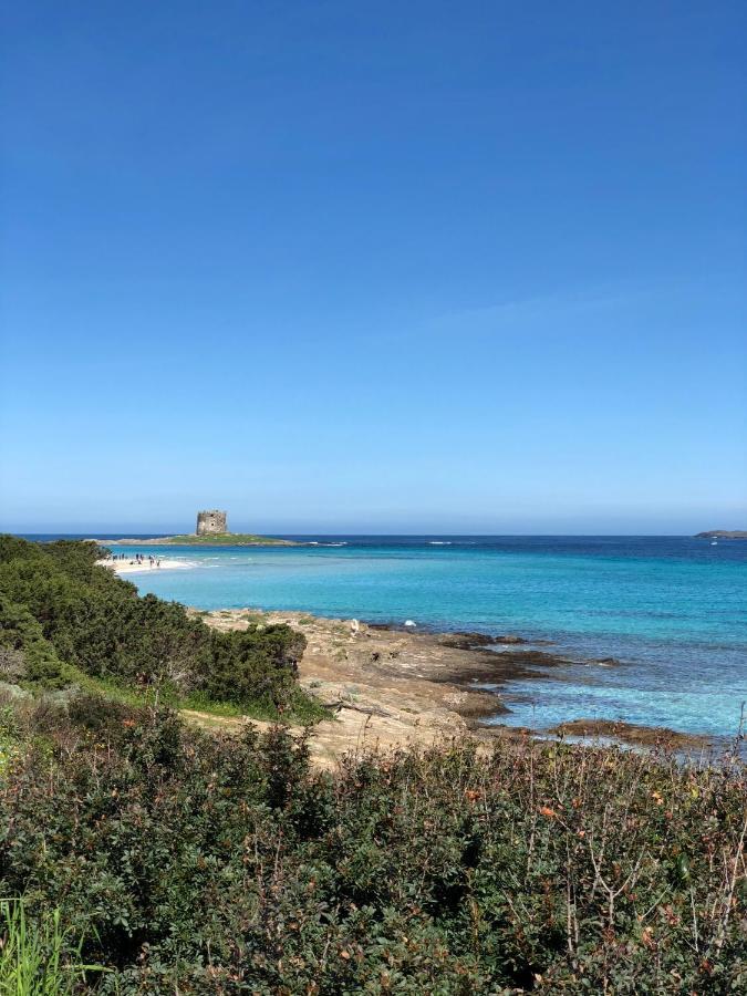 B&B Mare Di Fuori Stintino Bagian luar foto